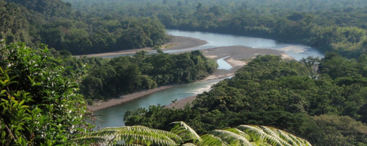 Tena Upper Basin Equador